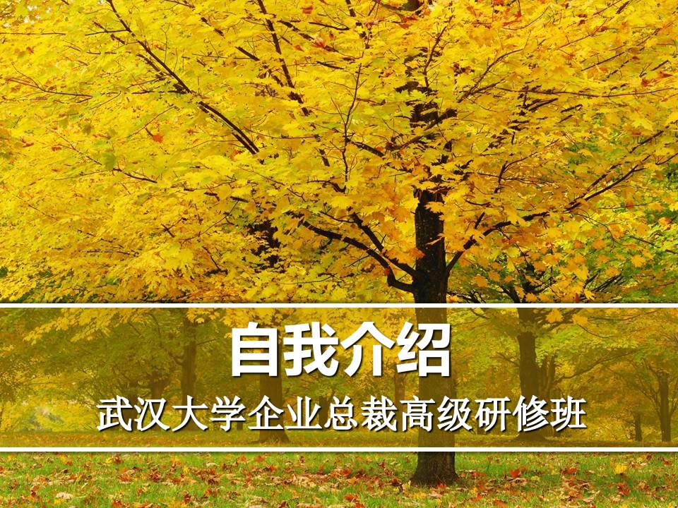 (自我介绍)武汉大学企业总裁高级研修班