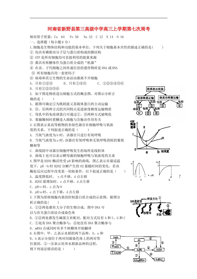 河南省新野县第三高级中学高三生物上学期第七次周考试题新人教版