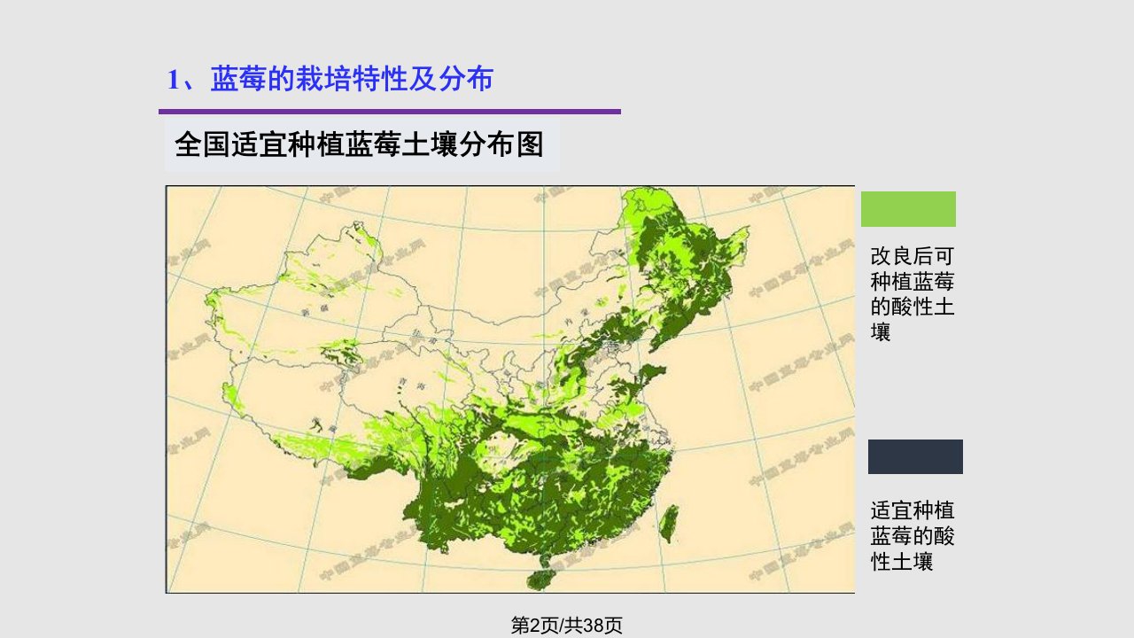 蓝莓生产与加工利用