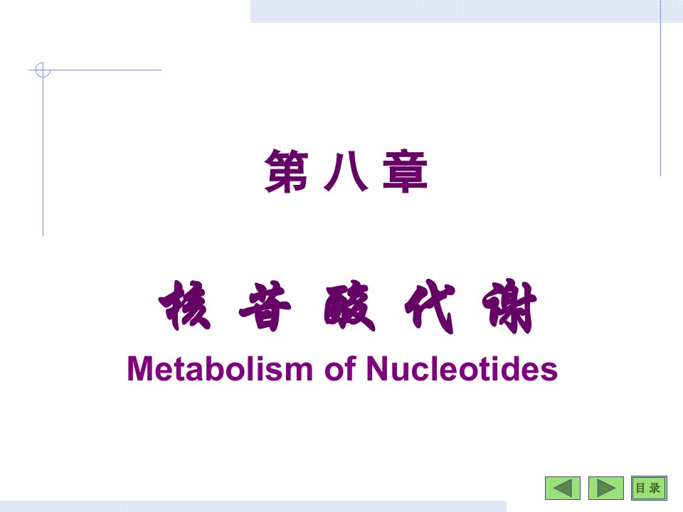 第八章核苷酸代谢(1)