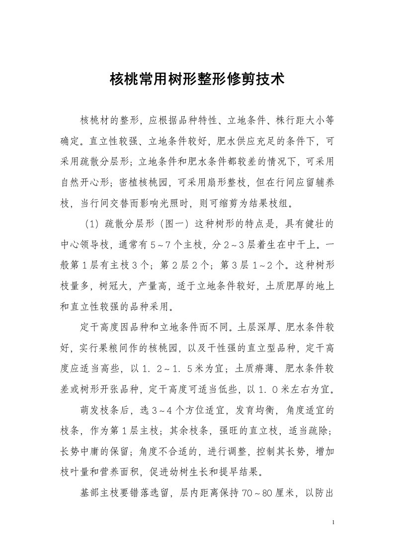 核桃树整形修剪技术课件