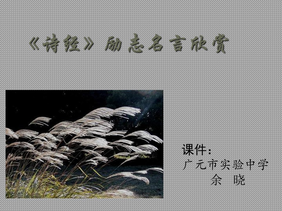 《诗经》励志名言欣赏