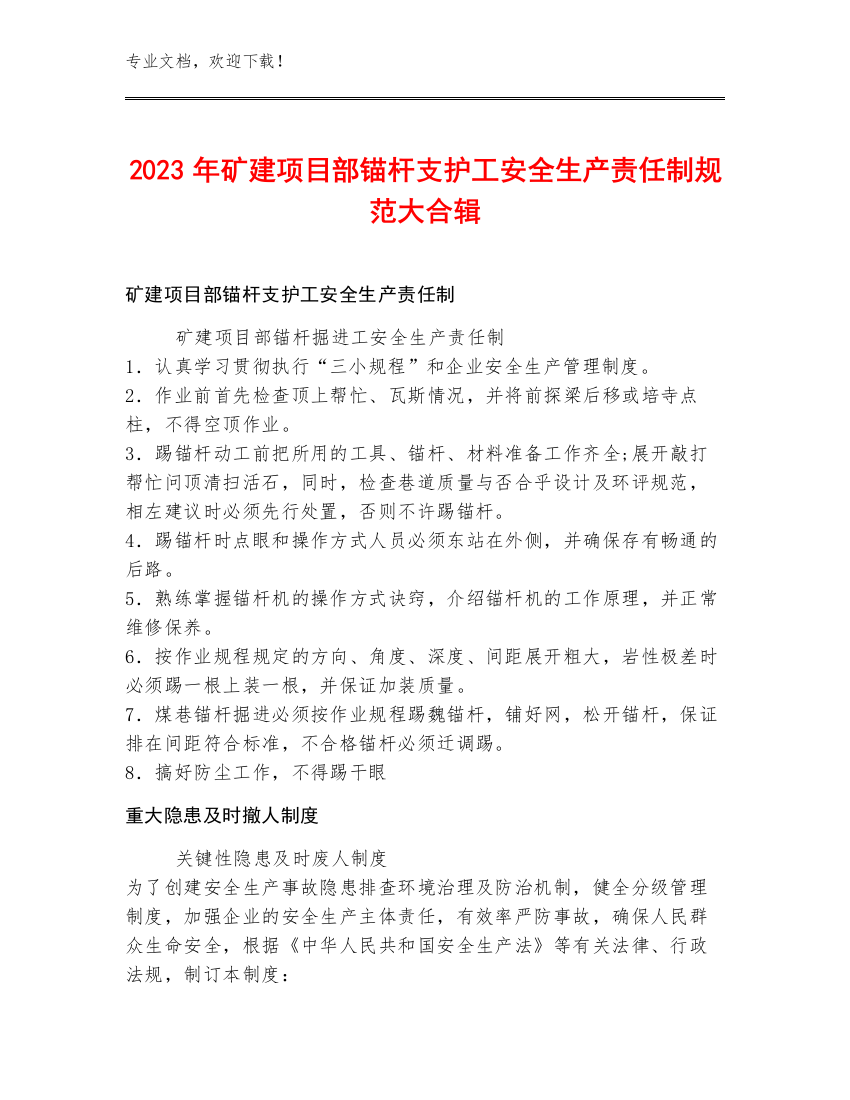 2023年矿建项目部锚杆支护工安全生产责任制规范大合辑