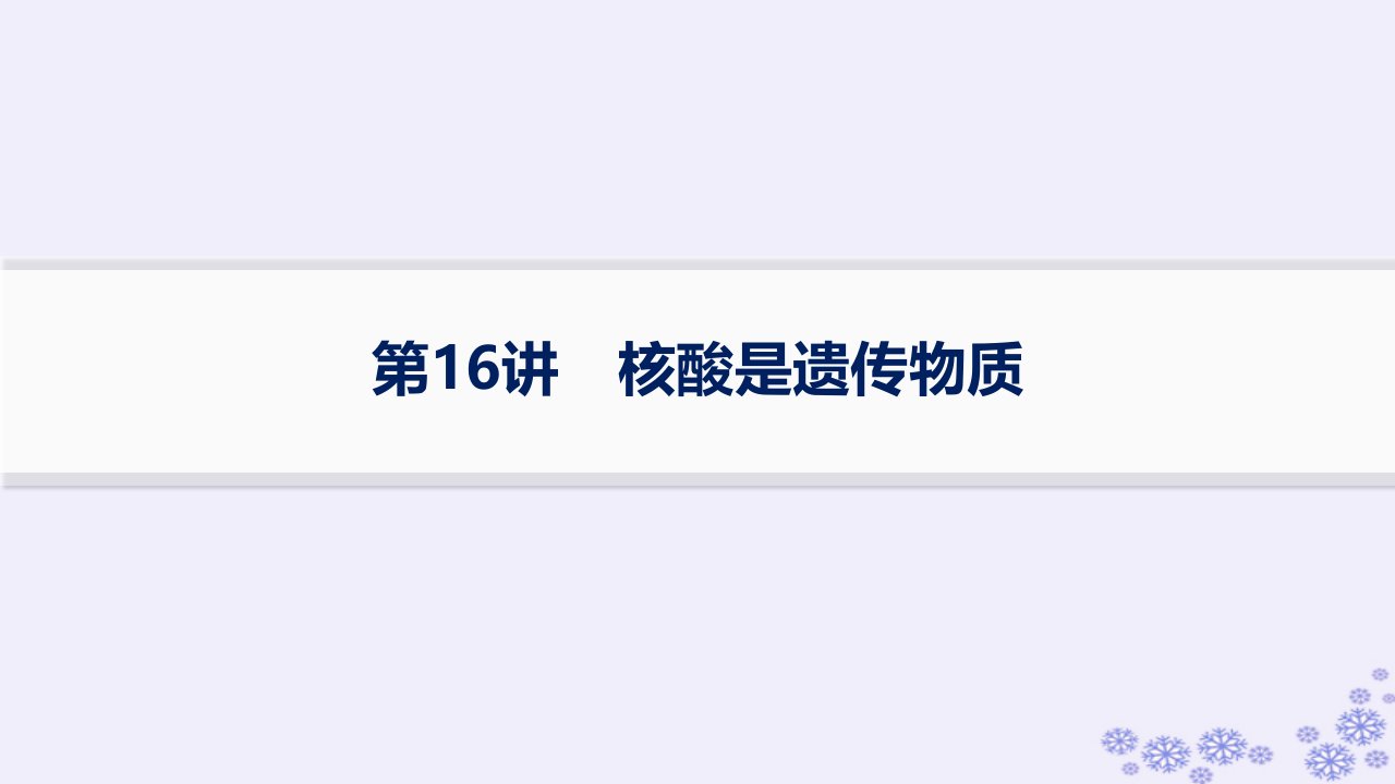 适用于新高考新教材浙江专版2025届高考生物一轮总复习第5单元遗传的分子基础第16讲核酸是遗传物质课件浙科版