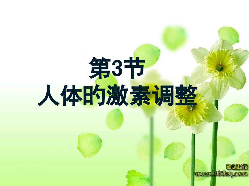 生物-北师大版-七年级下人体的激素调节市公开课获奖课件省名师示范课获奖课件