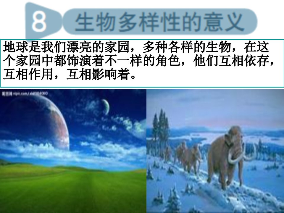 教科版科学六年级上册生物多样性的意义市公开课一等奖市赛课获奖课件