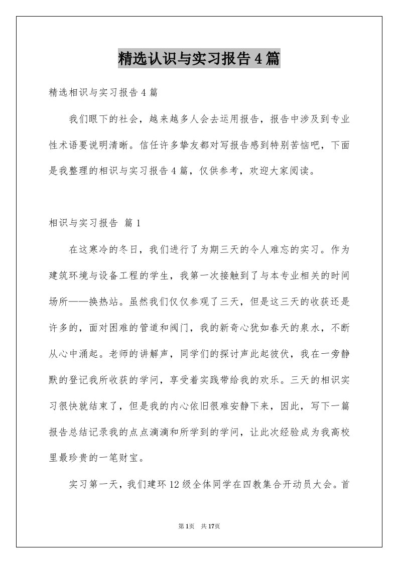 认识与实习报告4篇例文