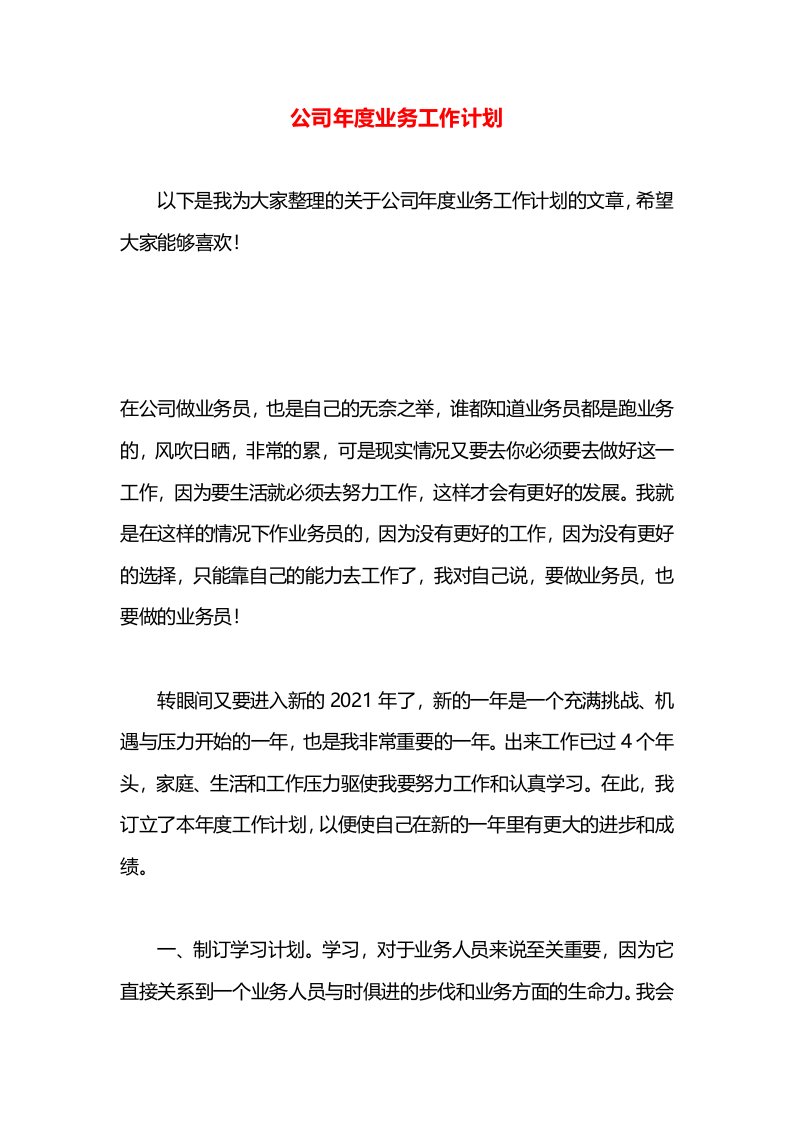 公司年度业务工作计划