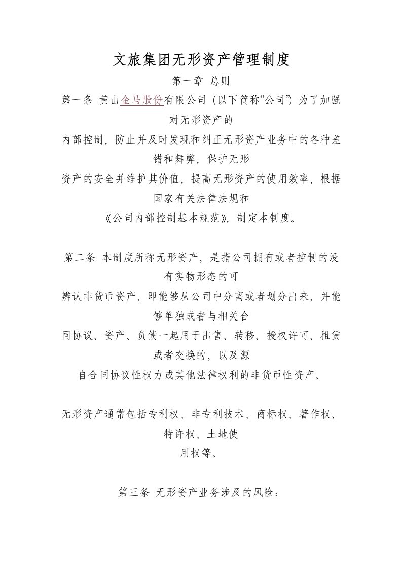 无形资产管理制度.docx