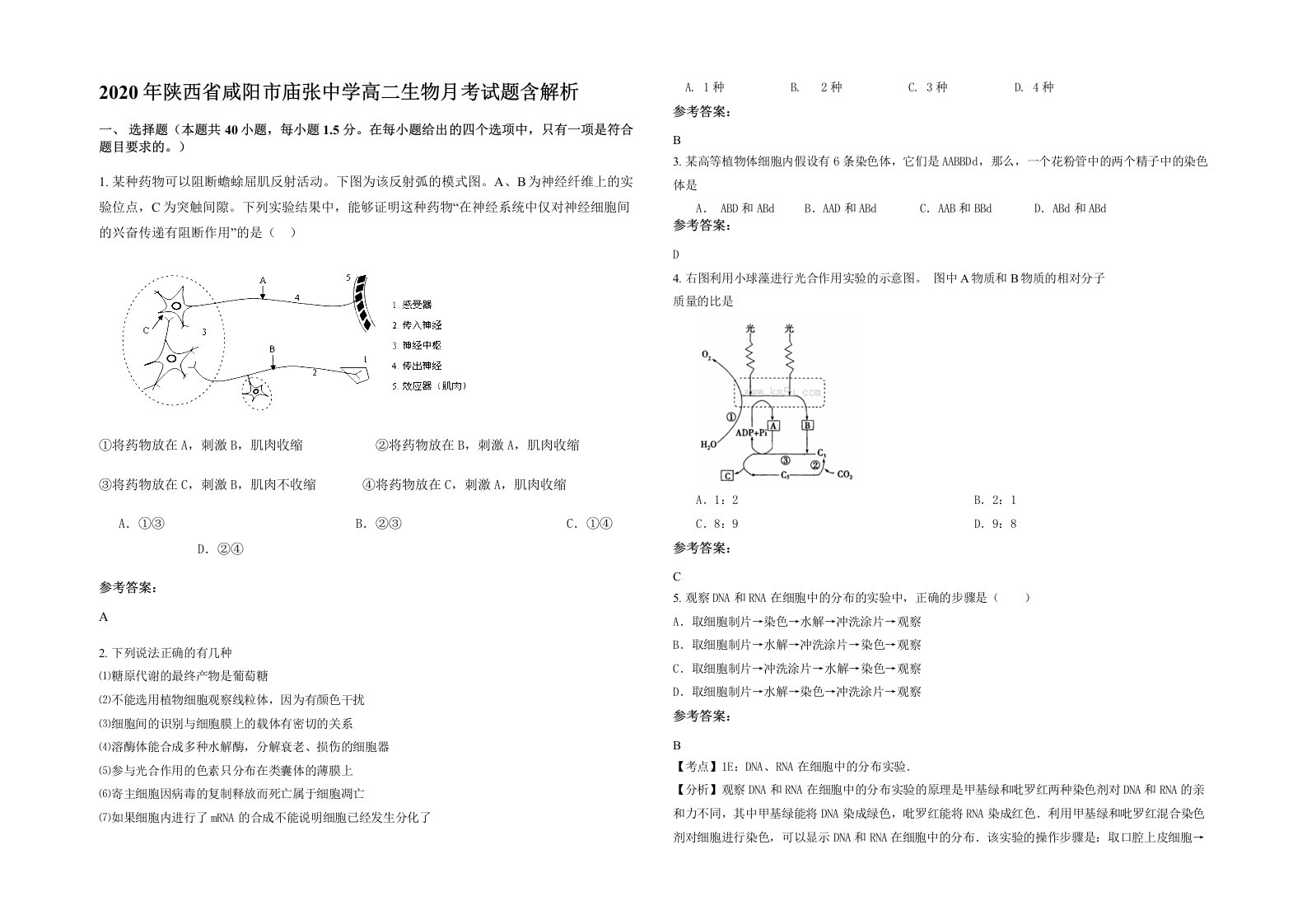 2020年陕西省咸阳市庙张中学高二生物月考试题含解析