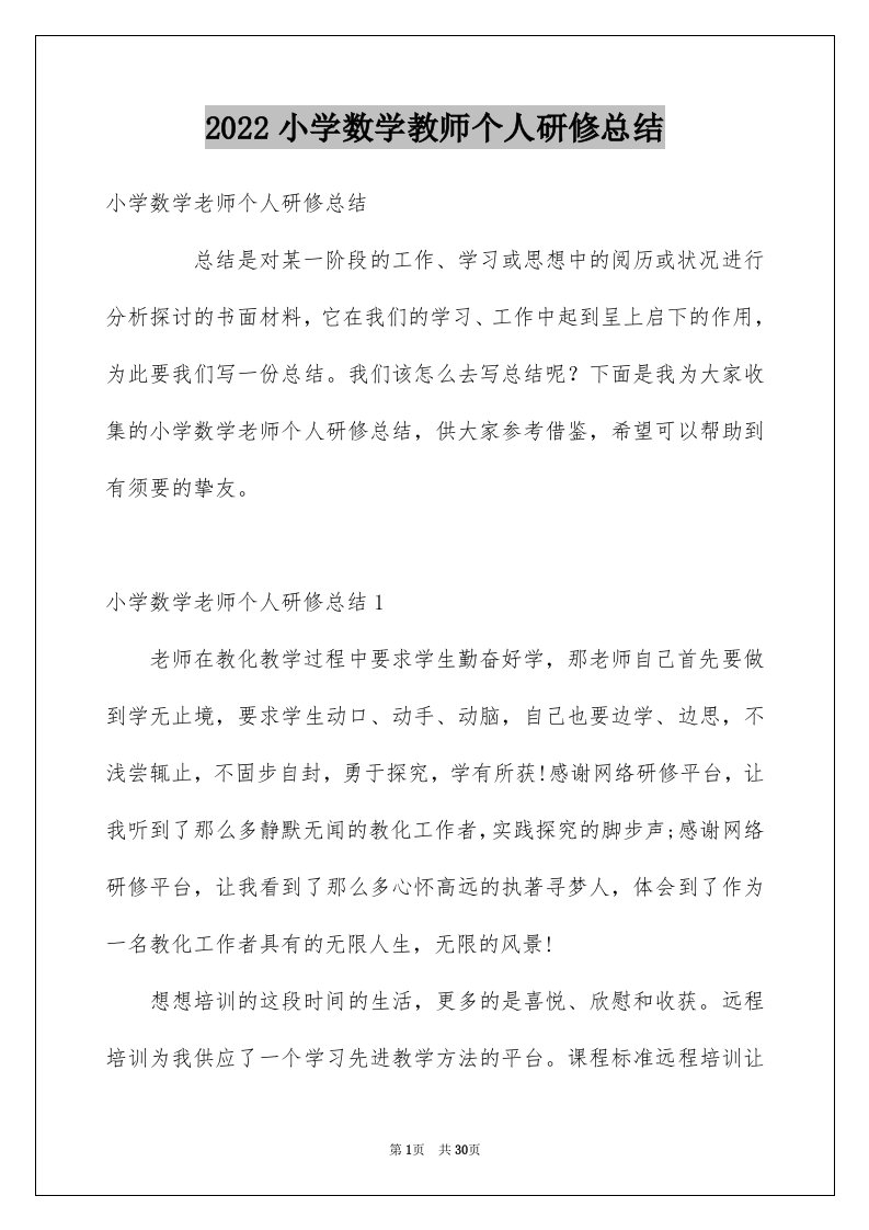 2024小学数学教师个人研修总结