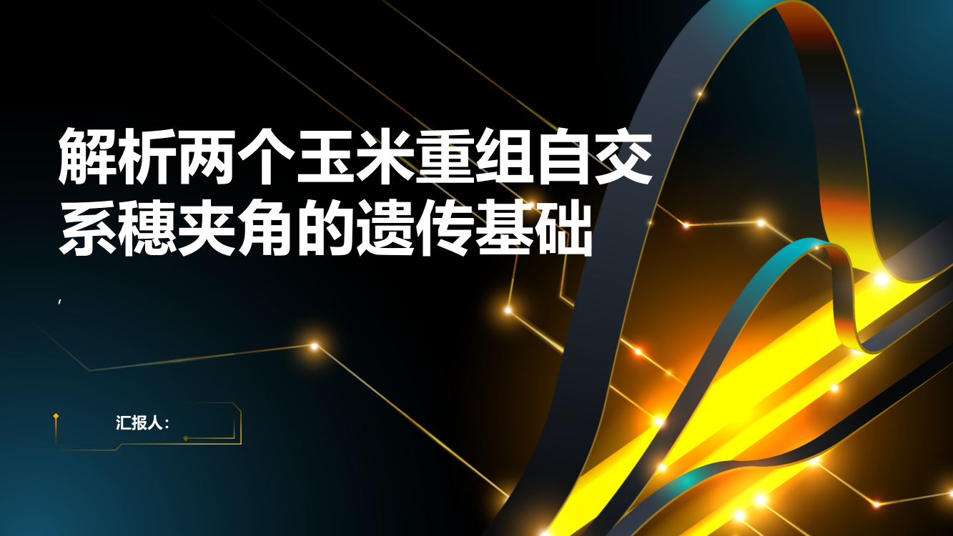 高密度SNP标记法解析两个玉米重组自交系穗夹角的遗传基础