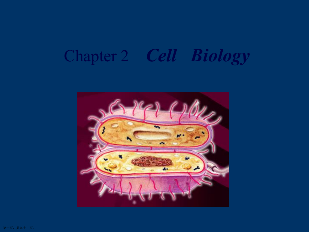 华中农业大学微生物学第二章