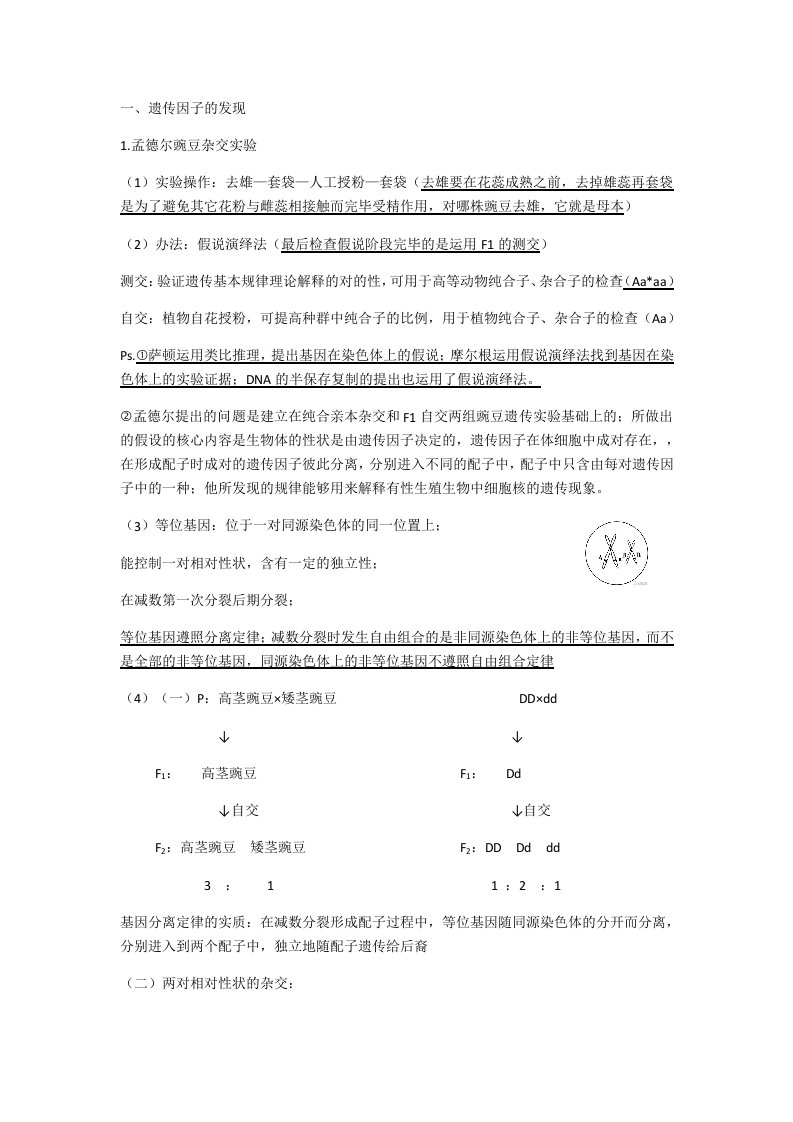 高一必修二生物期中复习资料