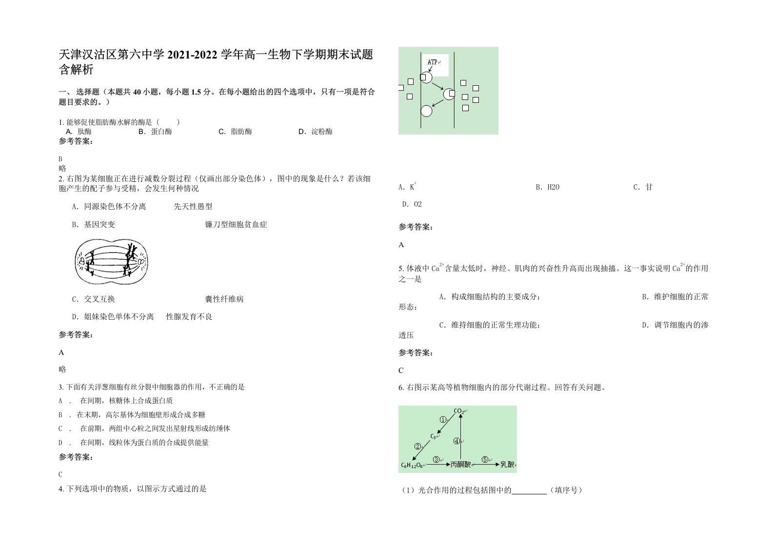 天津汉沽区第六中学2021-2022学年高一生物下学期期末试题含解析