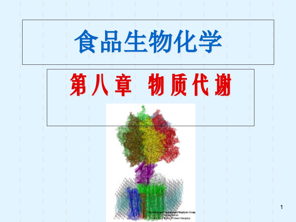 第8章-物质代谢总论(生物氧化、糖代谢)ppt课件