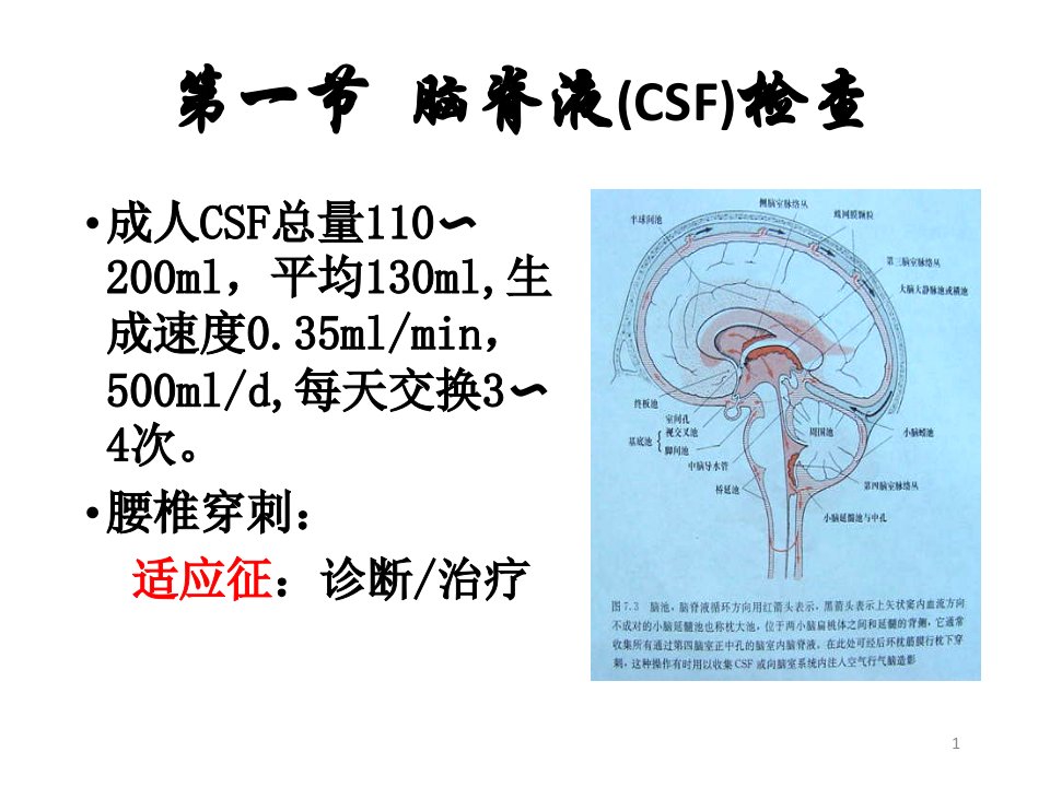 神经系统辅助检查ppt课件