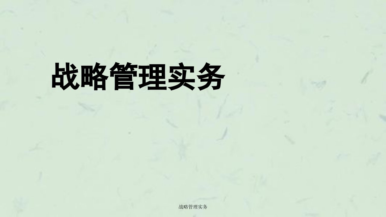 战略管理实务ppt课件