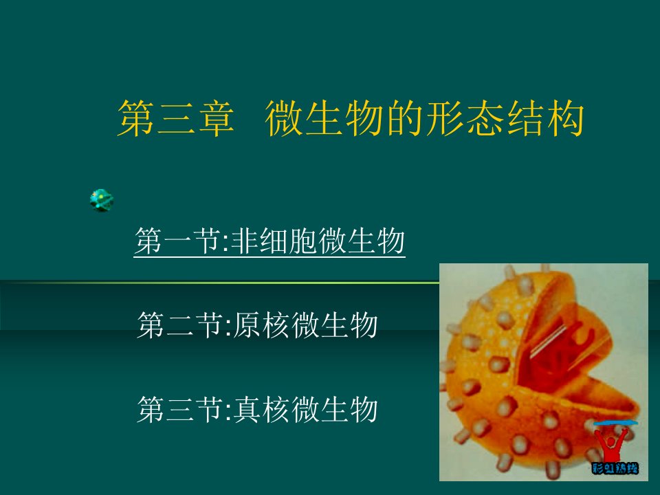 北工大微生物学第3章SARS