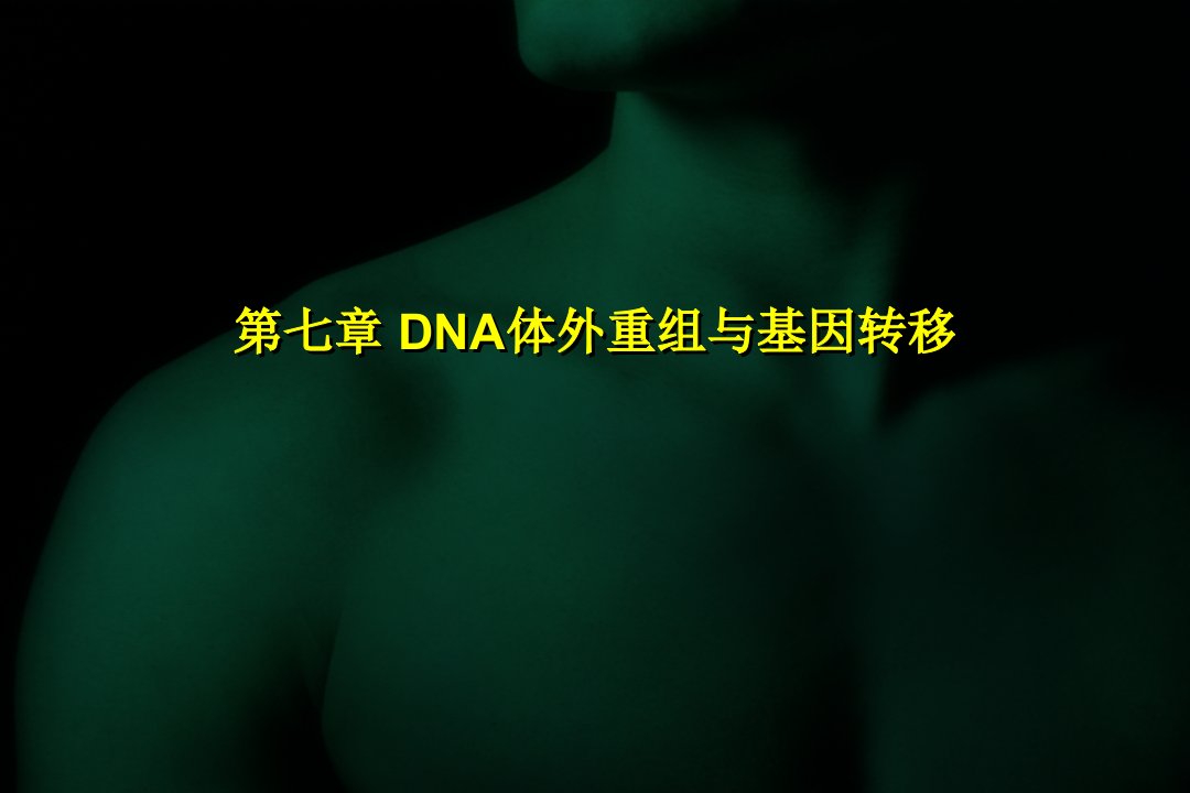 第七章DNA体外重组与基因转移