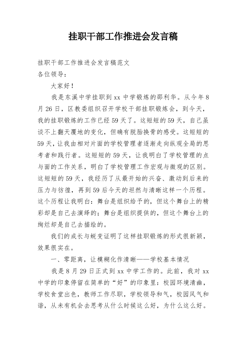 挂职干部工作推进会发言稿