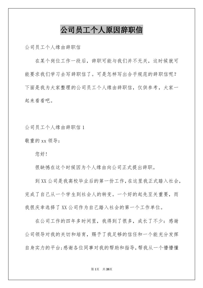 公司员工个人原因辞职信例文5