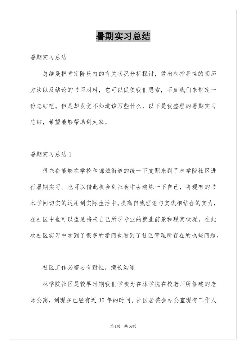 暑期实习总结例文2