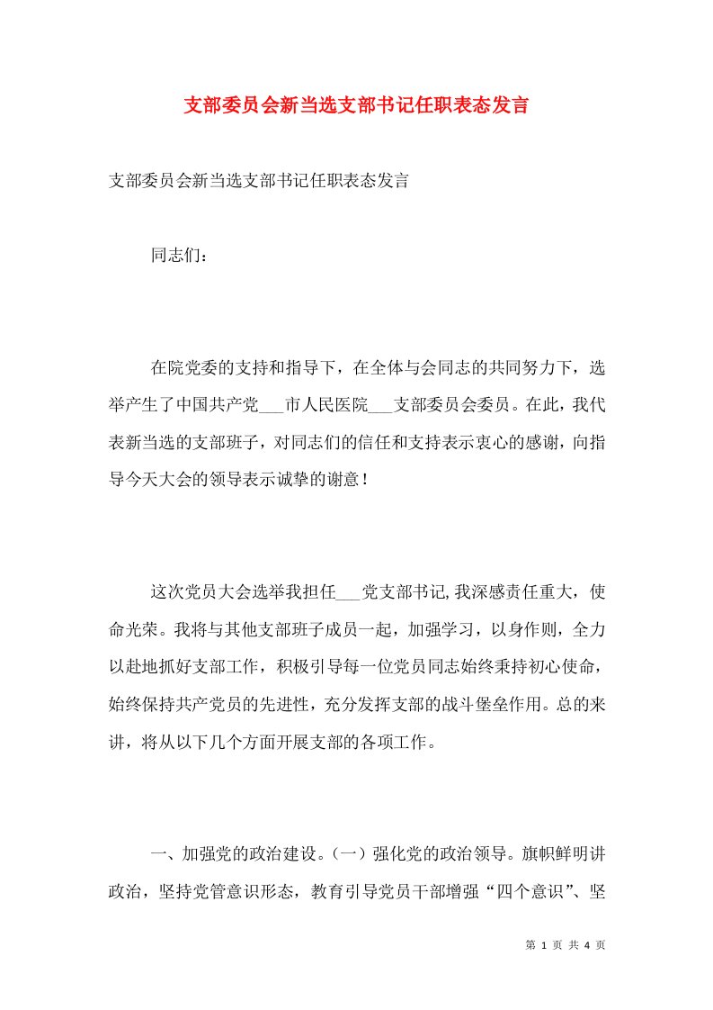 支部委员会新当选支部书记任职表态发言