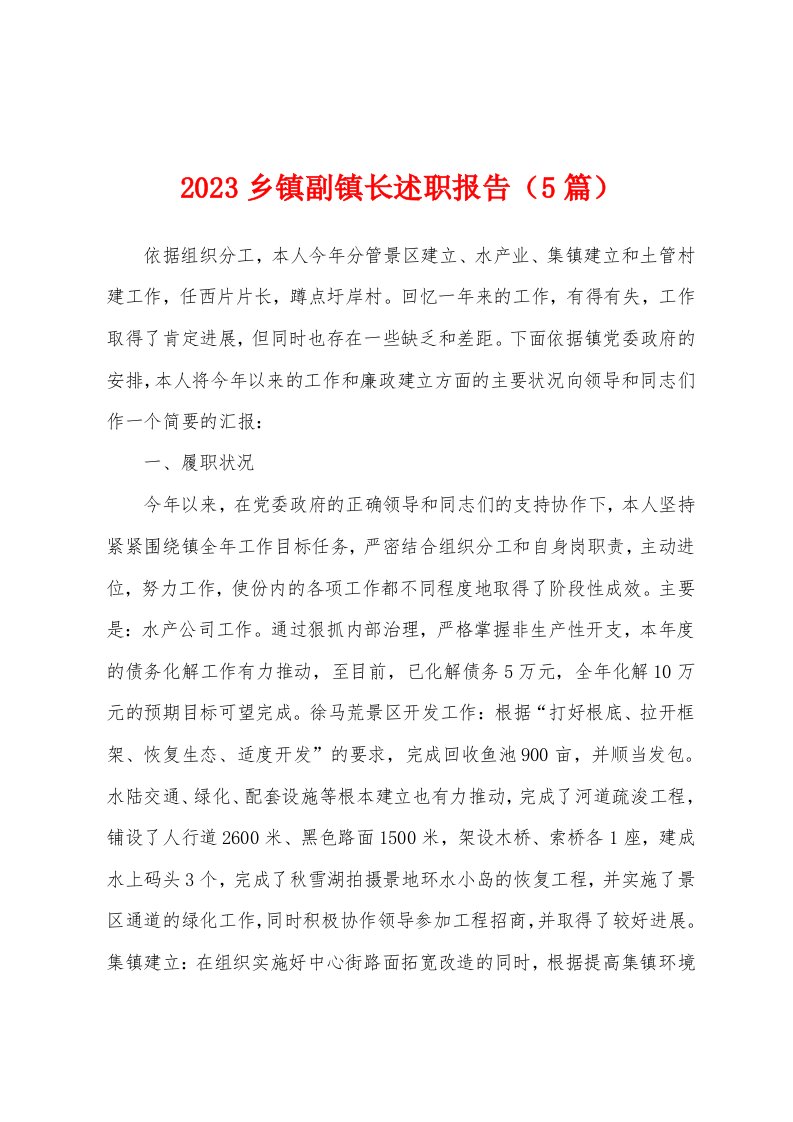 2023年乡镇副镇长述职报告（5篇）