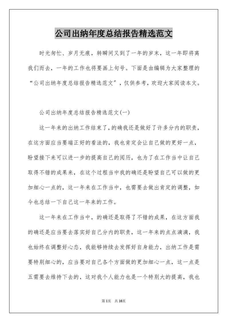 公司出纳年度总结报告精选范文