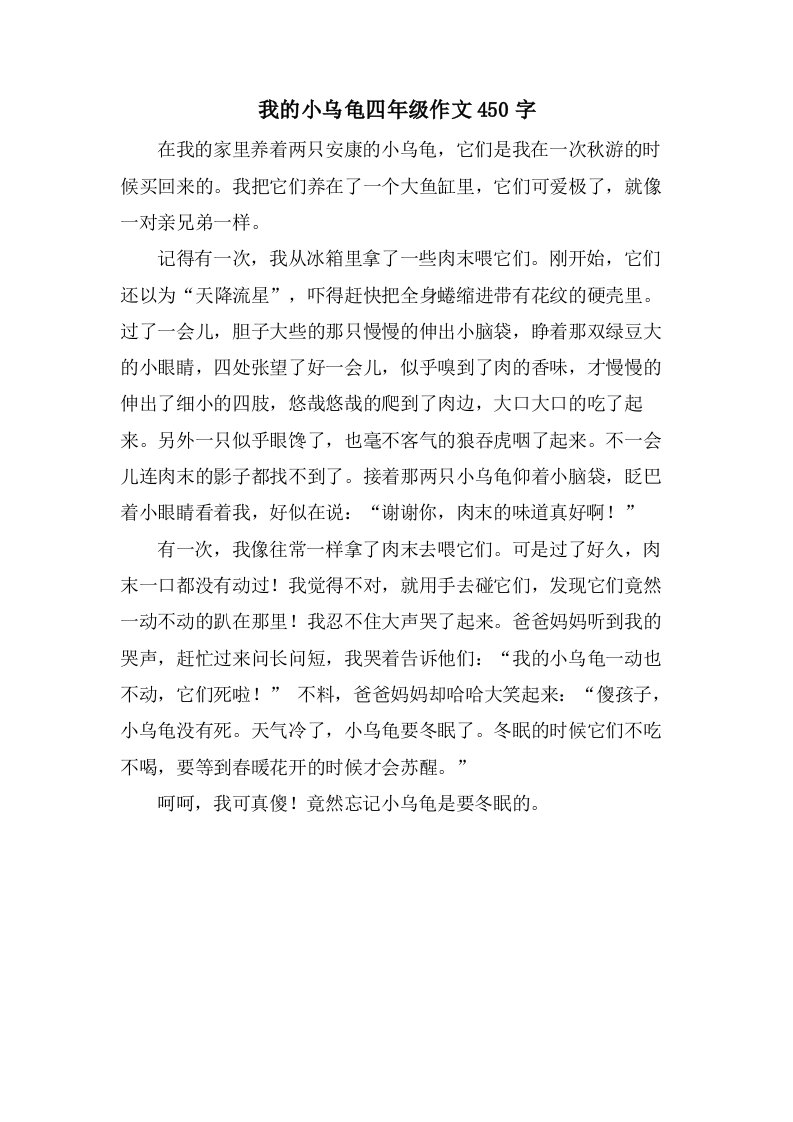 我的小乌龟四年级作文450字