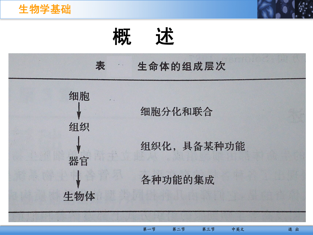 生物医学光子学-scy-3-生物学基础--20151118-PPT幻灯片