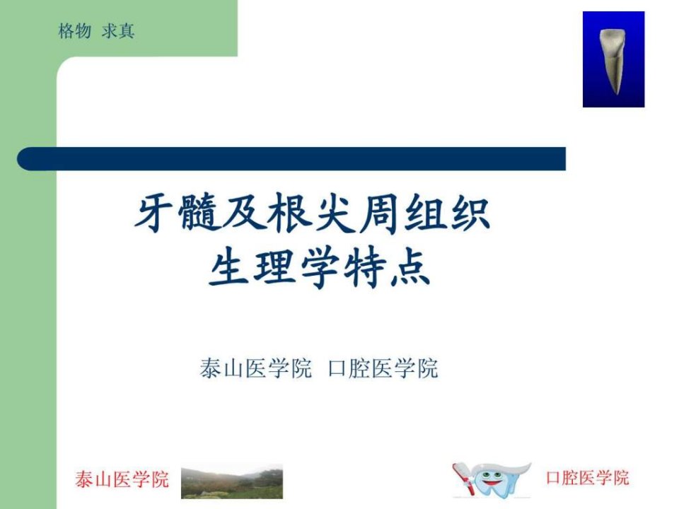 牙髓及根尖周的组织学特点.ppt