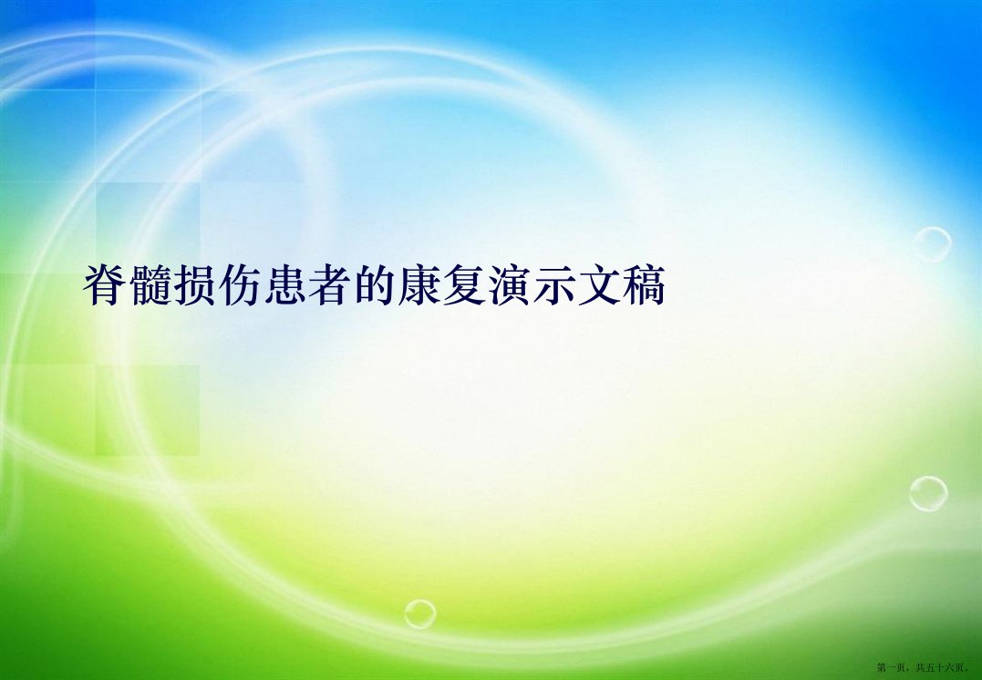 脊髓损伤患者的康复演示文稿