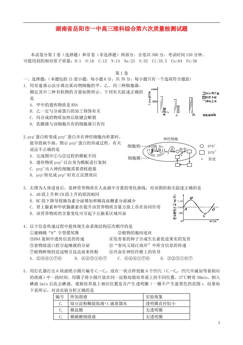 湖南省岳阳市一中高三理综第六次质量检测试题