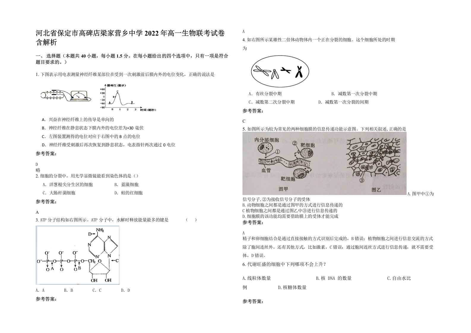 河北省保定市高碑店梁家营乡中学2022年高一生物联考试卷含解析