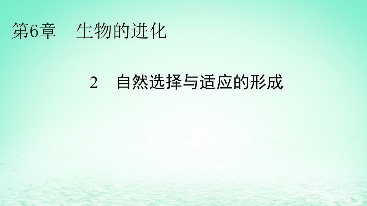 新教材同步系列2024春高中生物第6章生物的进化2自然选择与适应的形成课件新人教版必修2