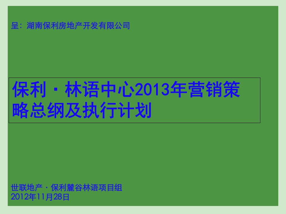 X年营销策略总及执行计划