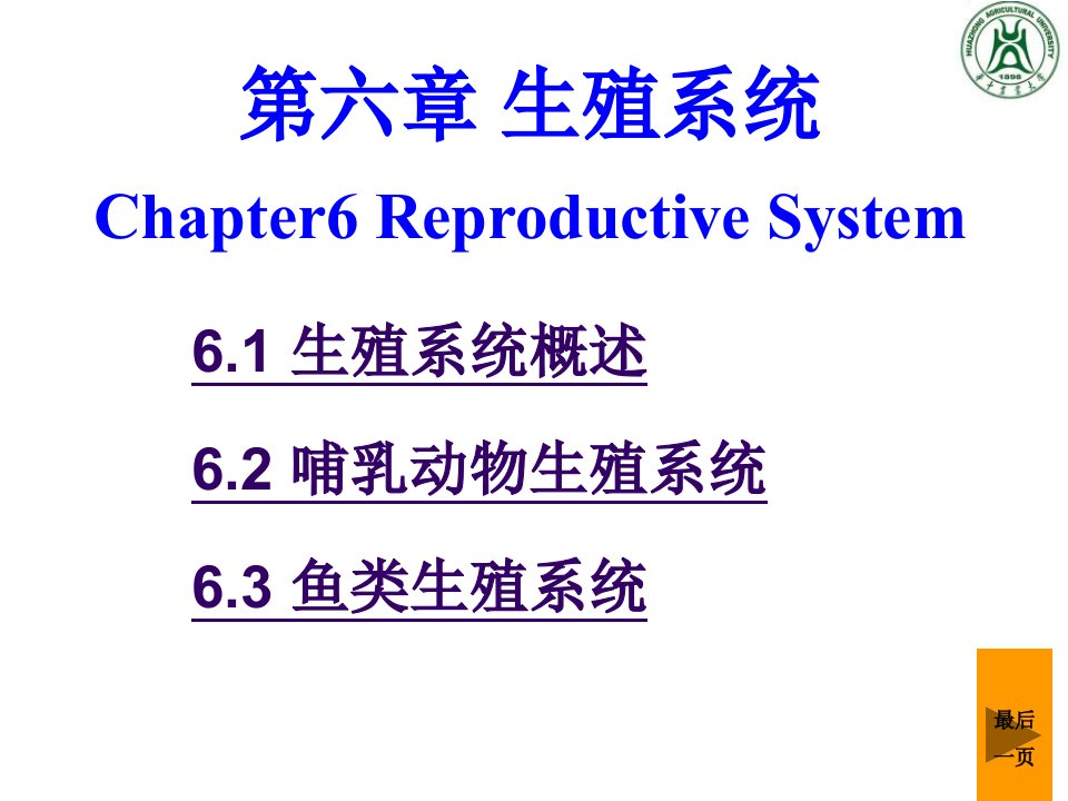 第六章生殖系统