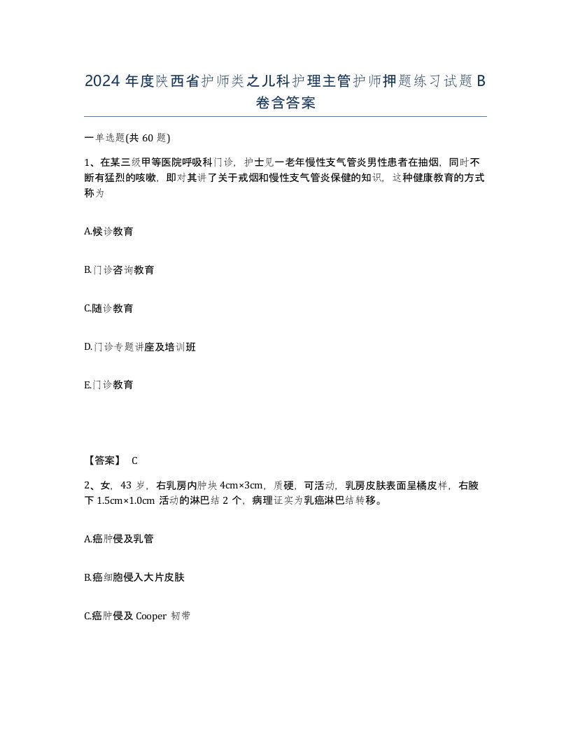 2024年度陕西省护师类之儿科护理主管护师押题练习试题B卷含答案