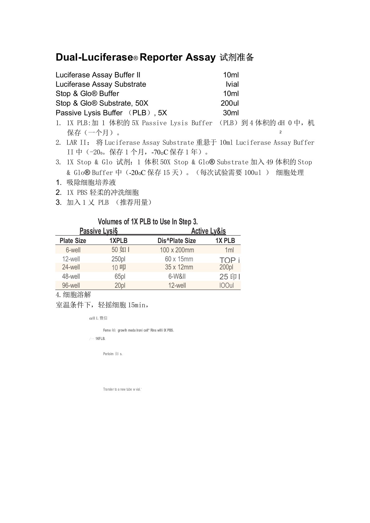 双荧光素酶报告基因检测系统