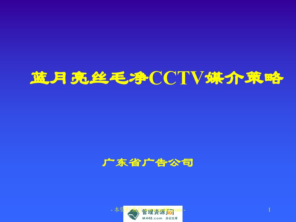 《蓝月亮丝毛净洗洁品牌CCTV媒介策略方案PPT》33页-品牌管理