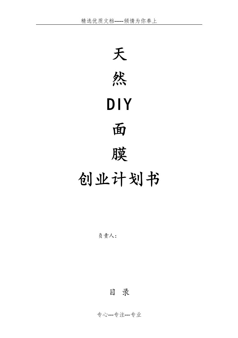 天然DIY面膜创业计划书(共20页)