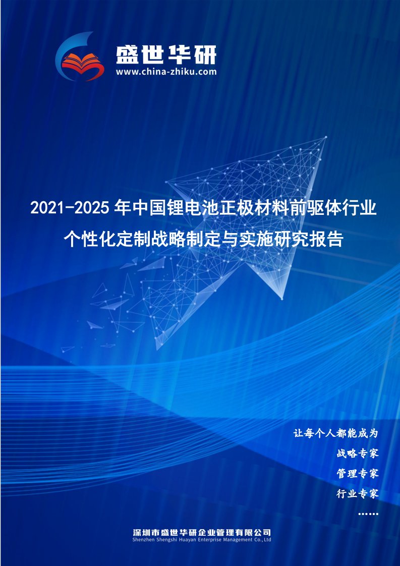 2021-2025年中国锂电池正极材料前驱体行业个性化定制战略制定与实施研究报告