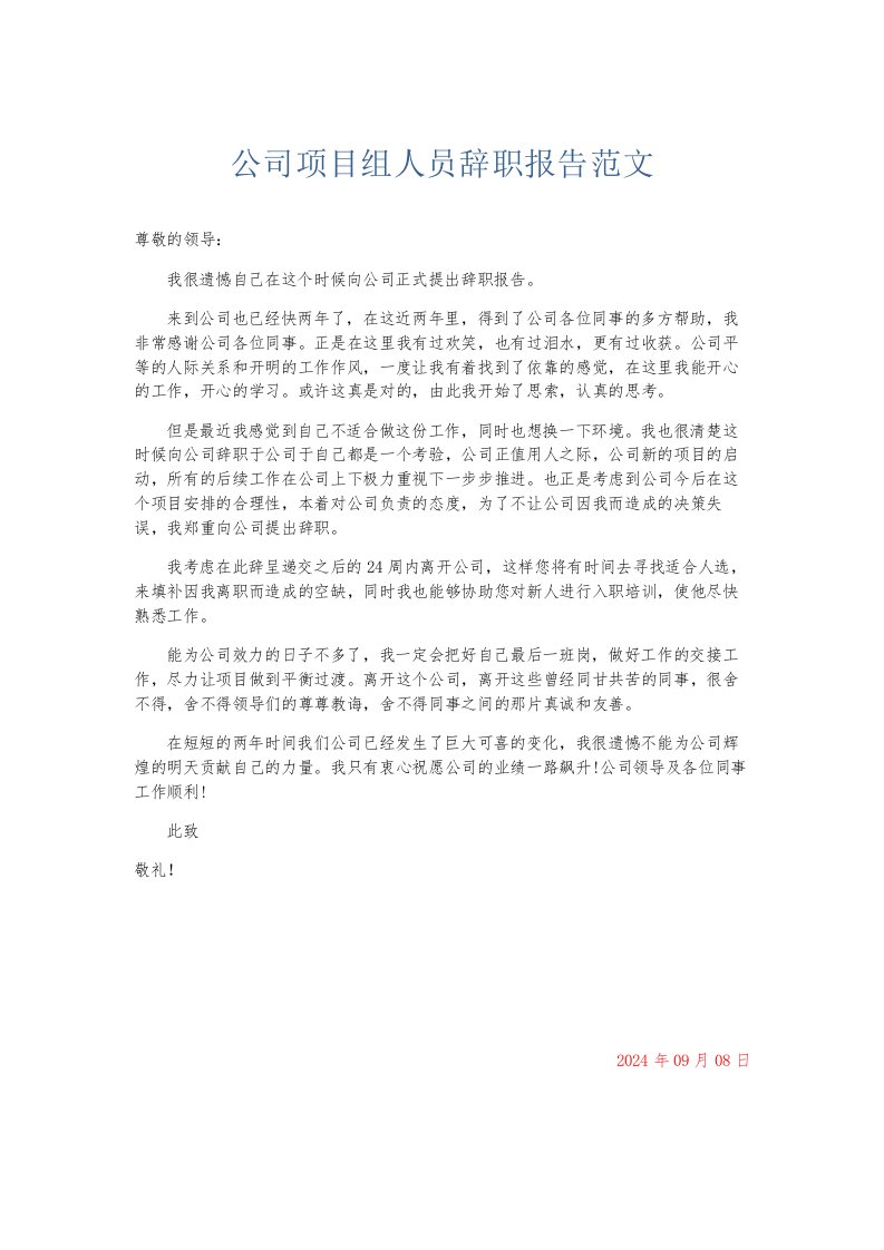 总结报告公司项目组人员辞职报告范文