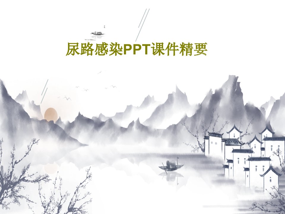 尿路感染PPT课件精要PPT48页