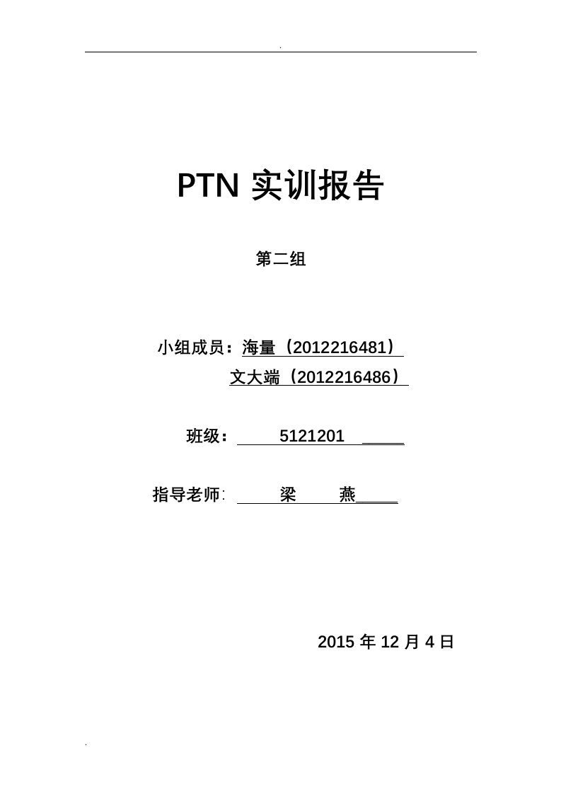 ptn实训报告