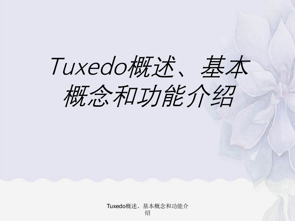 Tuxedo概述、基本概念与功能介绍