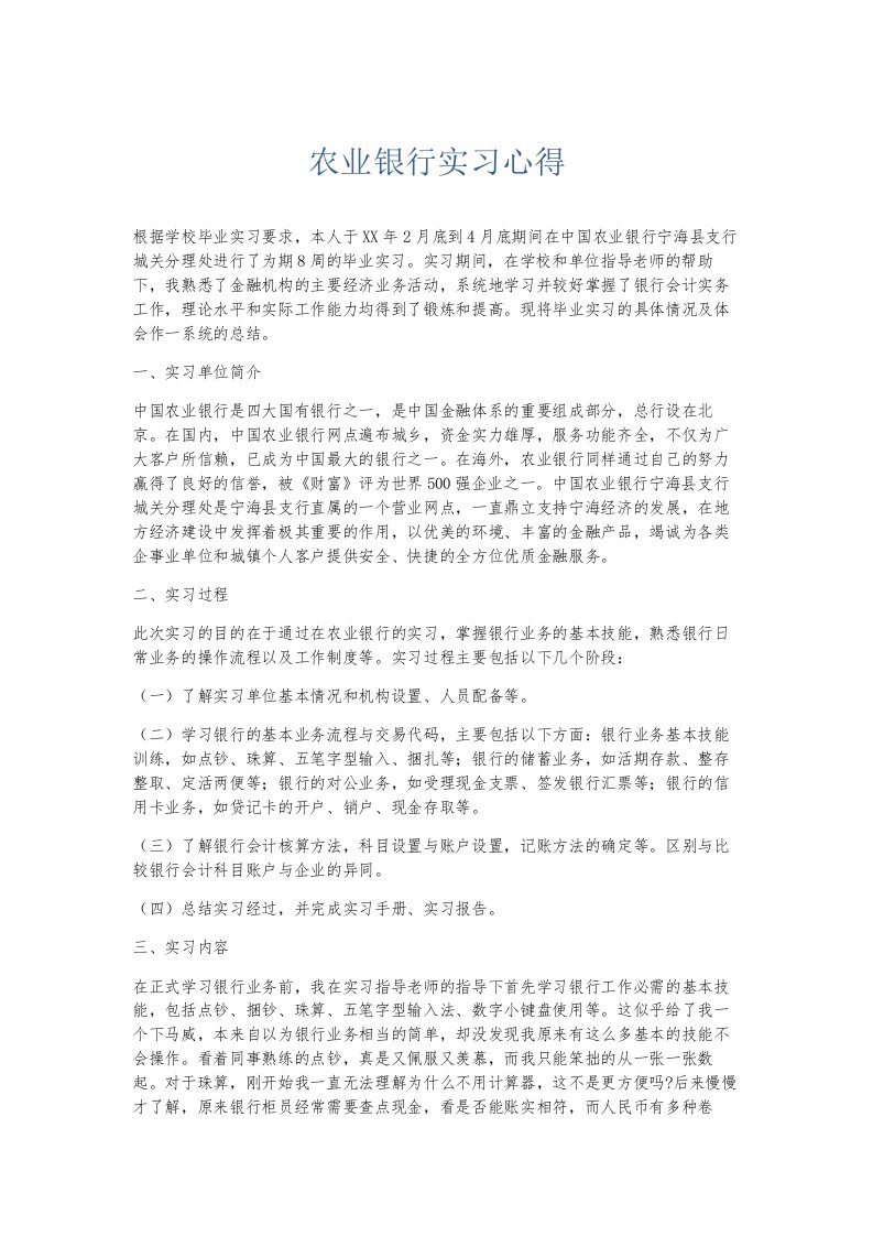 总结报告农业银行实习心得