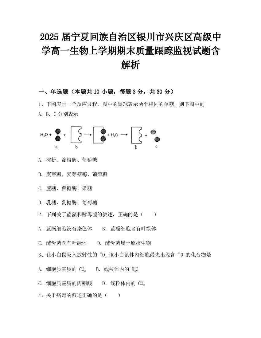 2025届宁夏回族自治区银川市兴庆区高级中学高一生物上学期期末质量跟踪监视试题含解析